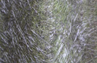 Wolfhill fibreglass roof work